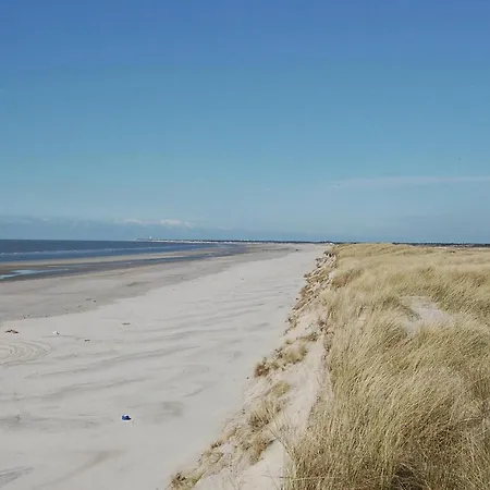 Amazing In Blavand With House Sea View Holiday home