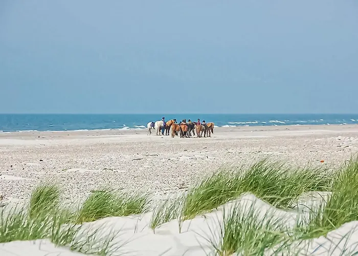Ferienhaus Sondertoften I Blåvand